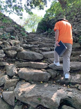 今帰仁城跡に投稿された画像（2023/11/3）