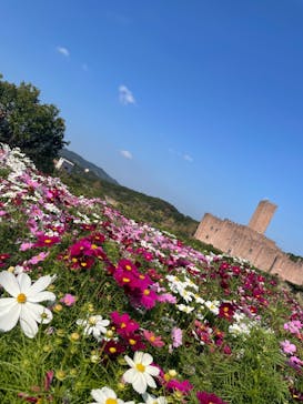 志摩スペイン村パルケエスパーニャに投稿された画像（2023/11/3）