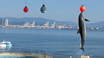 マリンワールド海の中道に投稿された画像（2023/11/3）