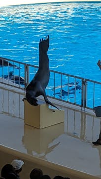 マリンワールド海の中道に投稿された画像（2023/11/3）