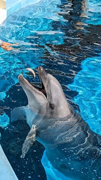 マリンワールド海の中道に投稿された画像（2023/11/3）