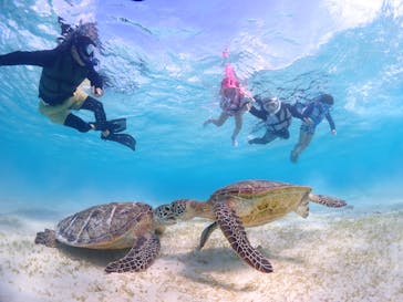 CHAMP TOUR　宮古島に投稿された画像（2023/11/3）