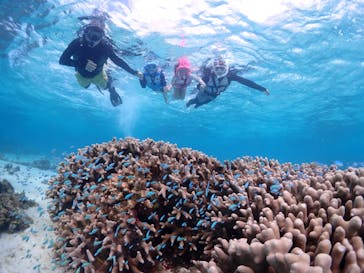 CHAMP TOUR　宮古島に投稿された画像（2023/11/3）