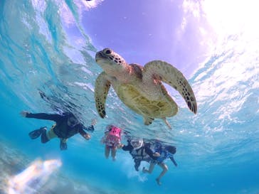 CHAMP TOUR　宮古島に投稿された画像（2023/11/3）