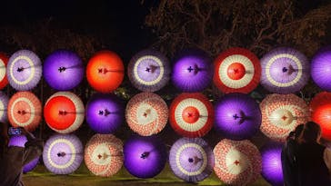 国営昭和記念公園 秋の夜散歩に投稿された画像（2023/11/3）