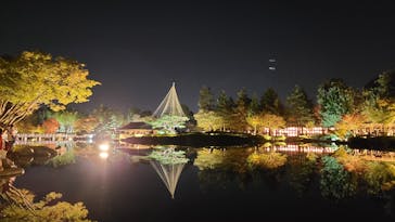 国営昭和記念公園 秋の夜散歩に投稿された画像（2023/11/3）