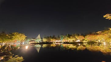 国営昭和記念公園 秋の夜散歩に投稿された画像（2023/11/3）