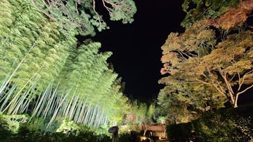 国営昭和記念公園 秋の夜散歩に投稿された画像（2023/11/3）