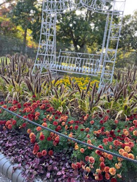 安城産業文化公園デンパークに投稿された画像（2023/11/3）