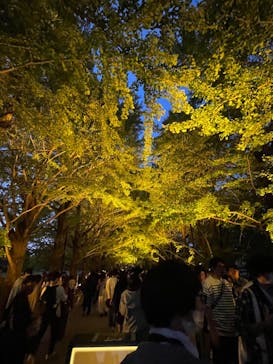 国営昭和記念公園 秋の夜散歩に投稿された画像（2023/11/3）