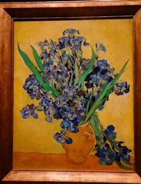 ゴッホと静物画　伝統から革新へ（SＯＭＰＯ美術館）に投稿された画像（2023/11/3）