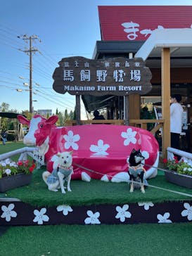 まかいの牧場に投稿された画像（2023/11/3）