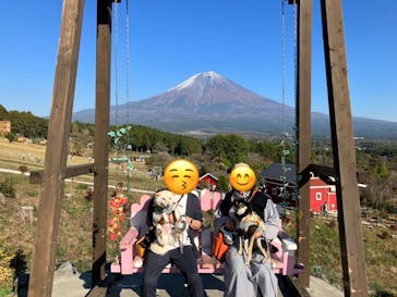 まかいの牧場に投稿された画像（2023/11/3）