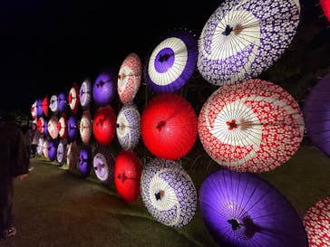 国営昭和記念公園 秋の夜散歩に投稿された画像（2023/11/3）