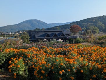 いばらきフラワーパークに投稿された画像（2023/11/3）