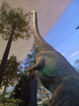 福井県立恐竜博物館に投稿された画像（2023/11/3）