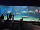 アクアワールド茨城県大洗水族館に投稿された画像（2023/11/3）