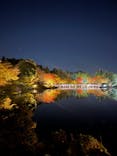 国営昭和記念公園 秋の夜散歩に投稿された画像（2023/11/3）