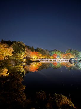 国営昭和記念公園 秋の夜散歩に投稿された画像（2023/11/3）
