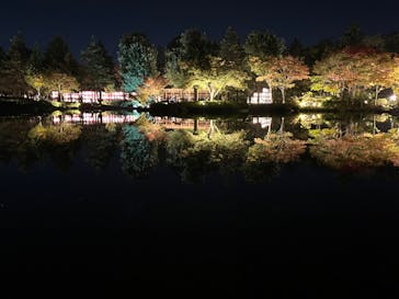 国営昭和記念公園 秋の夜散歩に投稿された画像（2023/11/3）