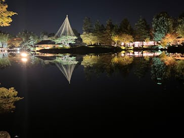国営昭和記念公園 秋の夜散歩に投稿された画像（2023/11/3）