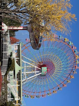 恵那峡ワンダーランドに投稿された画像（2023/11/3）