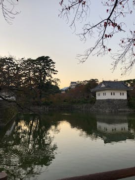 小田原城に投稿された画像（2023/11/3）