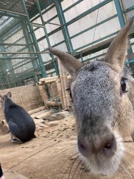東北サファリパークに投稿された画像（2023/11/3）