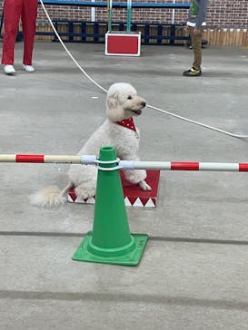 東北サファリパークに投稿された画像（2023/11/3）