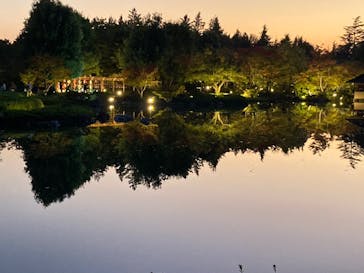 国営昭和記念公園 秋の夜散歩に投稿された画像（2023/11/3）