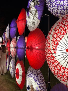 国営昭和記念公園 秋の夜散歩に投稿された画像（2023/11/3）