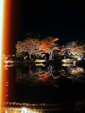 国営昭和記念公園 秋の夜散歩に投稿された画像（2023/11/3）