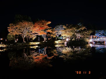 国営昭和記念公園 秋の夜散歩に投稿された画像（2023/11/3）