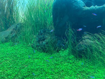 AOAO SAPPOROに投稿された画像（2023/11/3）