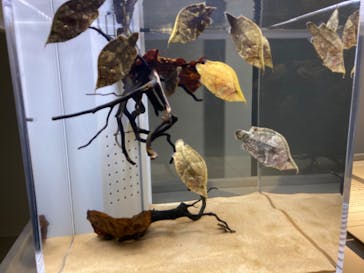 AOAO SAPPOROに投稿された画像（2023/11/3）