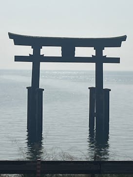 琵琶湖汽船に投稿された画像（2023/11/3）