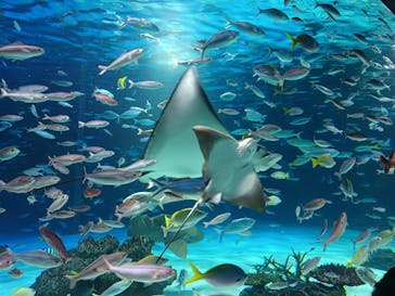 サンシャイン水族館に投稿された画像（2023/11/3）