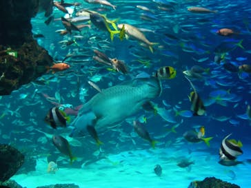 サンシャイン水族館に投稿された画像（2023/11/3）