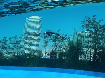 サンシャイン水族館に投稿された画像（2023/11/3）