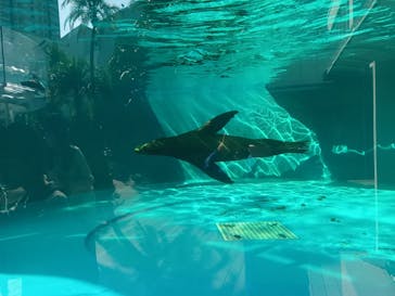 サンシャイン水族館に投稿された画像（2023/11/3）