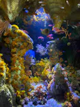 サンシャイン水族館に投稿された画像（2023/11/3）