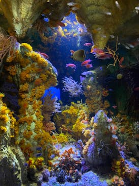 サンシャイン水族館に投稿された画像（2023/11/3）