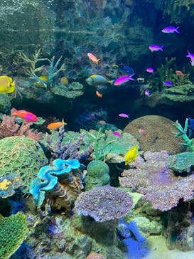 サンシャイン水族館に投稿された画像（2023/11/3）