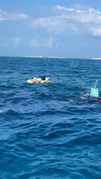 カイザーマリンクラブに投稿された画像（2023/11/3）