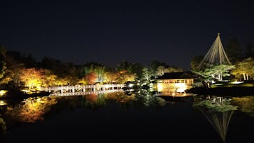 国営昭和記念公園 秋の夜散歩に投稿された画像（2023/11/3）