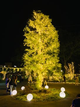 いばらきフラワーパークに投稿された画像（2023/11/3）