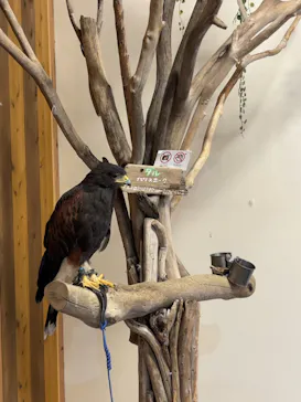 横浜・八景島シーパラダイスに投稿された画像（2023/11/3）