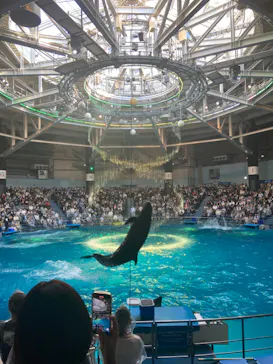 マクセル アクアパーク品川に投稿された画像（2023/11/3）