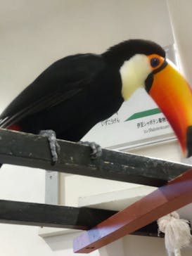 アニタッチみなとみらいに投稿された画像（2023/11/3）