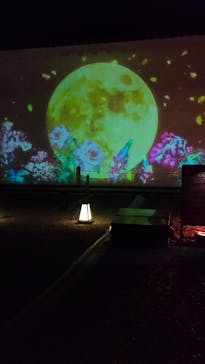 NAKED meets 二条城 2025 観月に投稿された画像（2023/11/3）